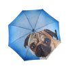 3752 4 modern art lazy dog