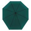 14048 1 superstrong magic plus evergreen