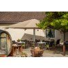 12521 42 goliath tmave zelena